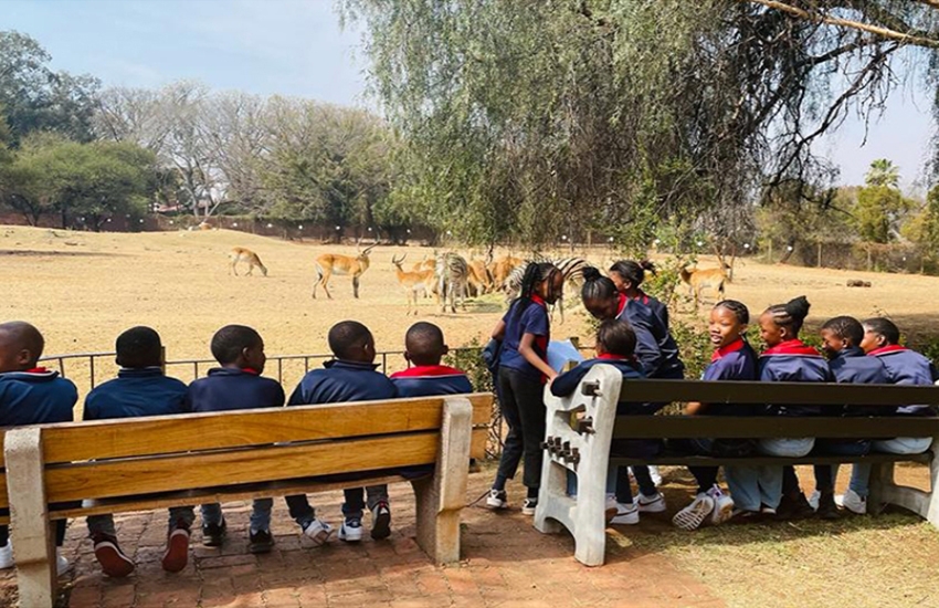 Pretoria Zoo Trip