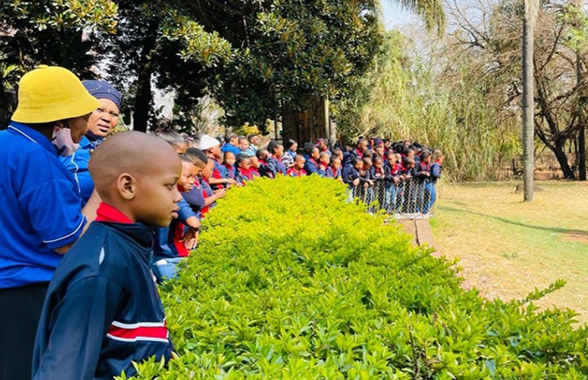 Pretoria Zoo Trip